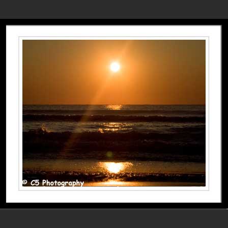 C5 Photography - Virginia Beach 003